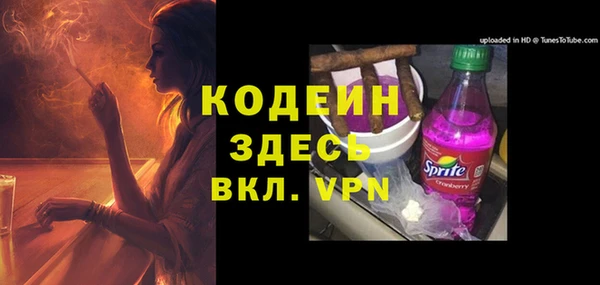 индика Корсаков