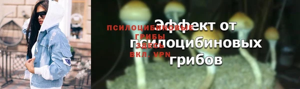 бошки Аркадак