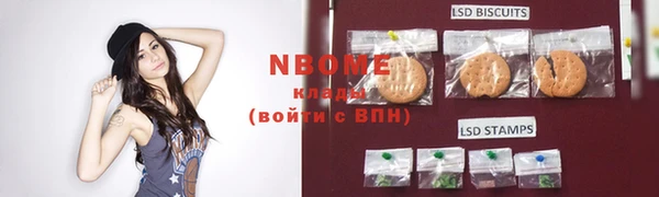 гашик Арсеньев