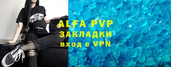 гашик Арсеньев