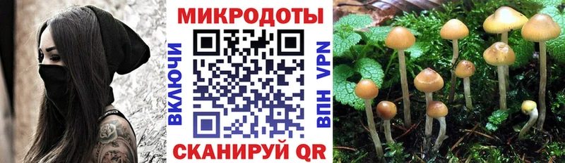 Псилоцибиновые грибы мицелий  Подпорожье 